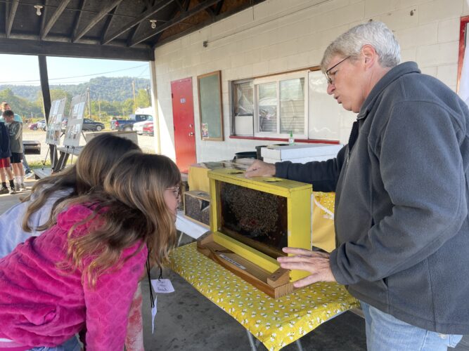 'Hands-On Ag Day' in Marshall County Brings Classroom to the Farm | News, Sports, Jobs - Vimarsana News
