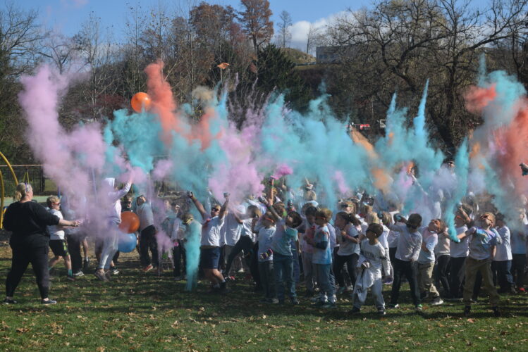 A Big Splash Of Color | News, Sports, Jobs - The Intelligencer - Vimarsana News