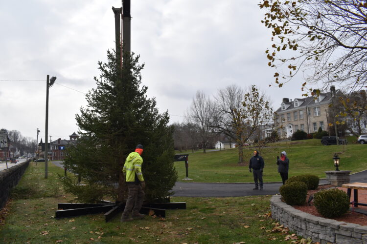 First 'Christmas in the Grove' Event Is Friday Outside Osiris Shrine Temple | News, Sports, Jobs - Vimarsana News