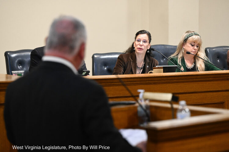 Manufacturers concerned about childcare gap in West Virginia | News, Sports, Jobs - Vimarsana News