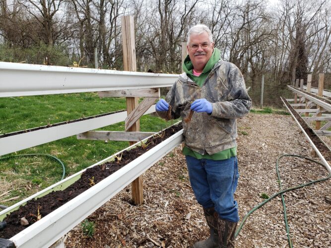 Dry Spell Decreases Yields for Local Growers | News, Sports, Jobs - Vimarsana News