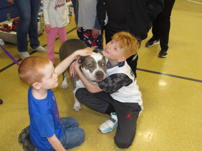 Cameron Elementary Students Collect 700 Items, Raise $500 for Marshall County Animal Shelter | News, Sports, Jobs - Vimarsana News