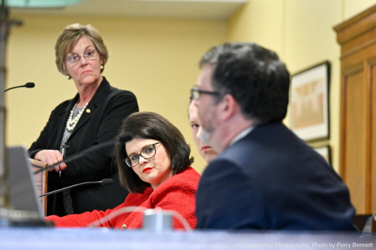 Transparency issues focus of House Health Committee | News, Sports, Jobs - Vimarsana News