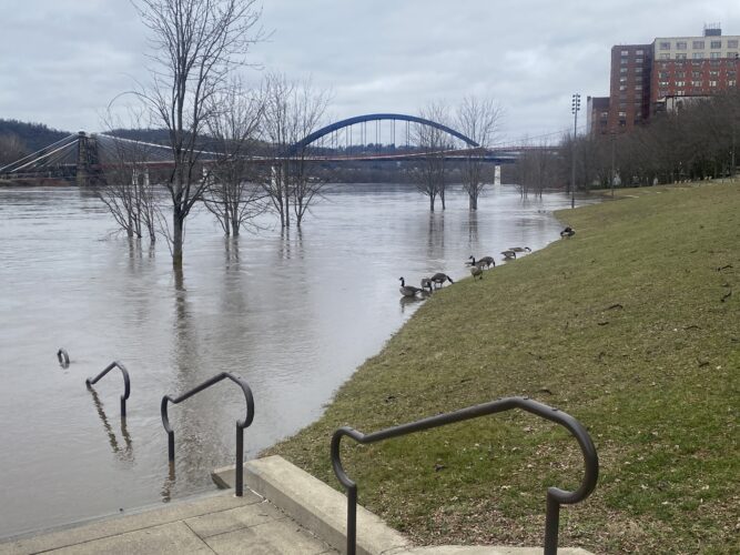 Ohio River Crests Below Flood Stage Following Heavy Rain | News, Sports, Jobs - Vimarsana News