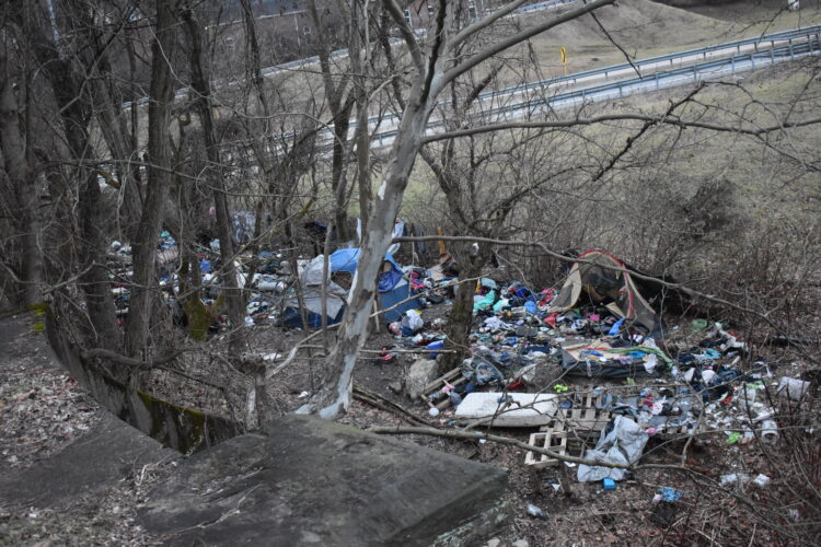 Wheeling Mayoral Candidates Offer Differing Opinions on Homeless Issues | News, Sports, Jobs - Vimarsana News