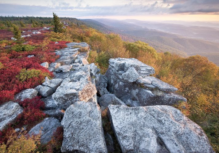 Bear Rocks, Allegheny Front Preserve recognized | News, Sports, Jobs - Vimarsana News