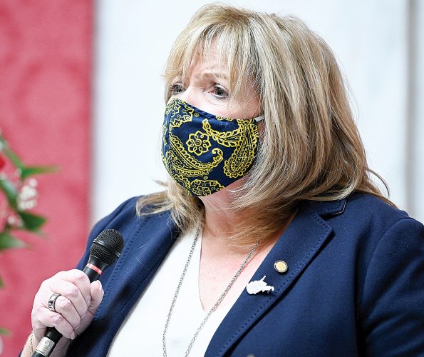 House of Delegates invests in education savings account bill | News, Sports, Jobs - Vimarsana News
