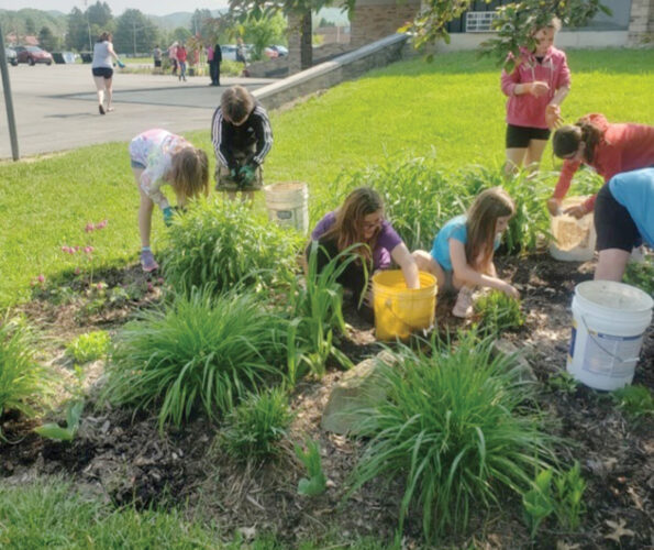 Emma Scott Garden Club helps students with butterfly project | News, Sports, Jobs - Vimarsana News