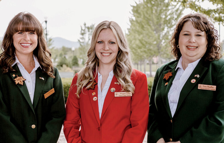 85th Mountain State Forest Festival Queen's Department announced | News, Sports, Jobs - Vimarsana News