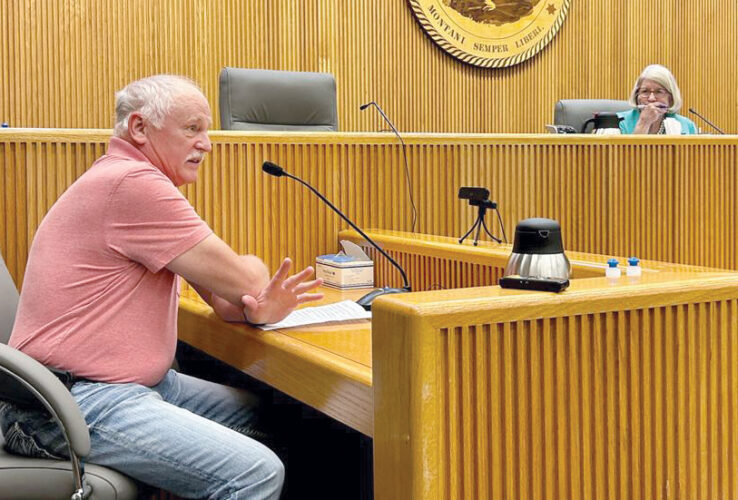 Public weighs in on power rate increase requests | News, Sports, Jobs - Vimarsana News
