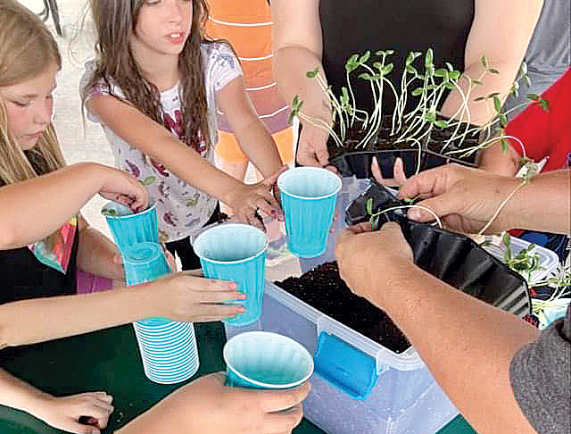 Students take part in Summer SOLE program | News, Sports, Jobs - Vimarsana News