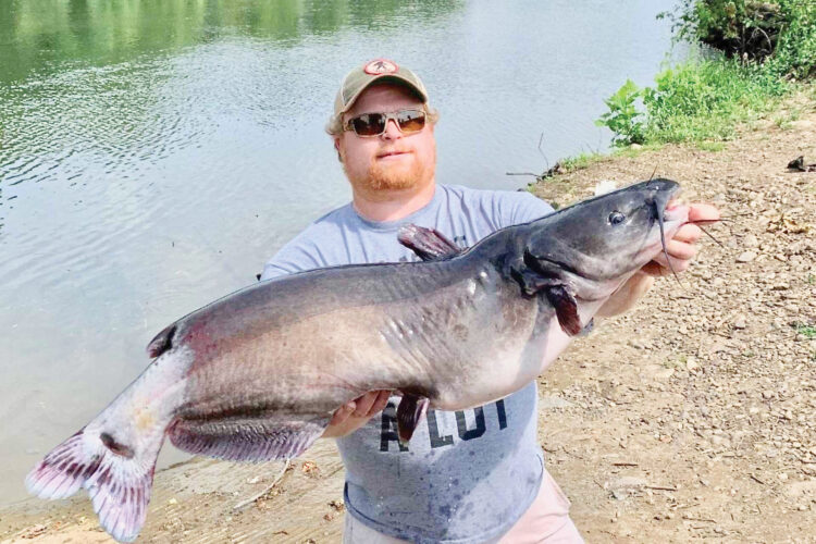 Angler catches state record channel catfish two years in a row | News, Sports, Jobs - Vimarsana News