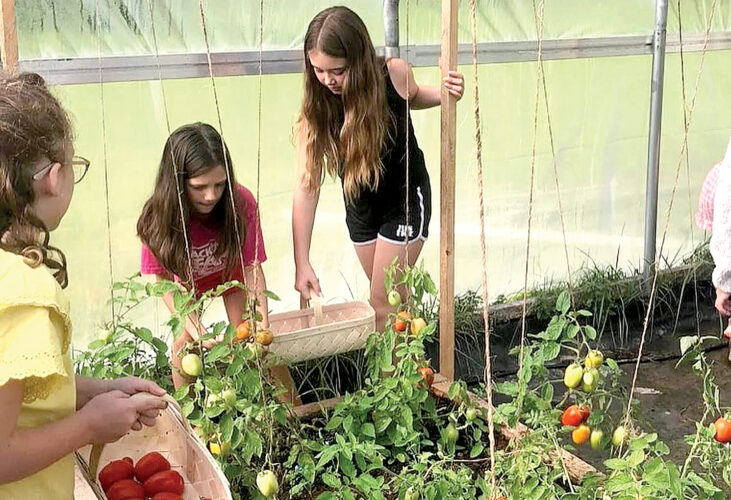 Pickens students enjoying produce grown at school | News, Sports, Jobs - Vimarsana News