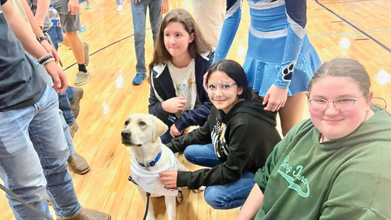 First Lady announces new therapy dog | News, Sports, Jobs - Vimarsana News