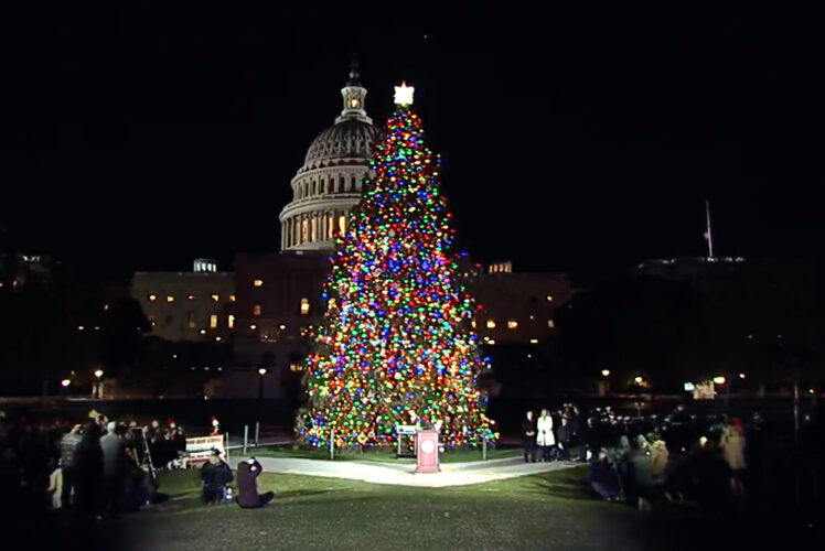 Spectacular Lighting Ceremony | News, Sports, Jobs - Vimarsana News