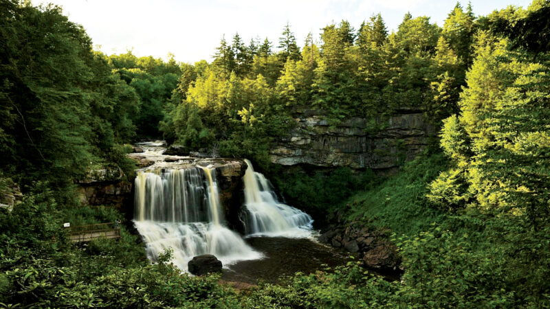 W.Va. DNR announces First Day Hikes at state parks | News, Sports, Jobs - Vimarsana News