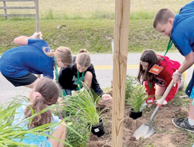 Year of Beautification | News, Sports, Jobs - The Intermountain - Vimarsana News