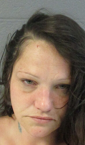 Local woman facing two felony charges | News, Sports, Jobs - Vimarsana News