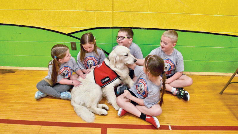 First Lady introduces new therapy dogs | News, Sports, Jobs - Vimarsana News