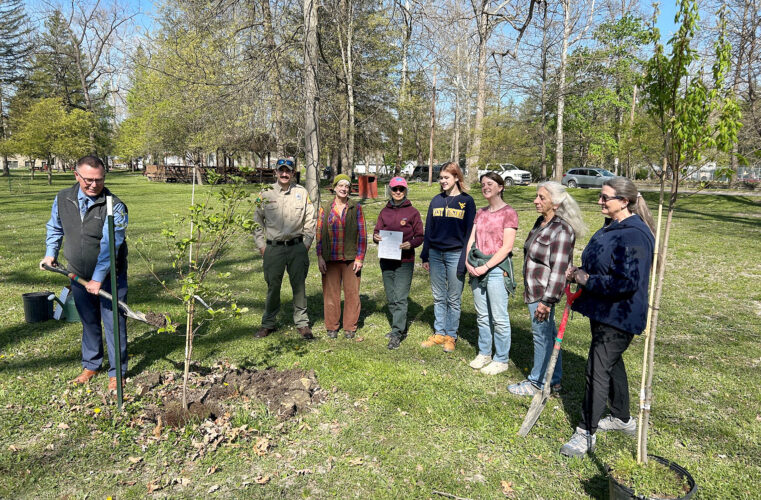 Planting for the Future | News, Sports, Jobs - The Intermountain - Vimarsana News