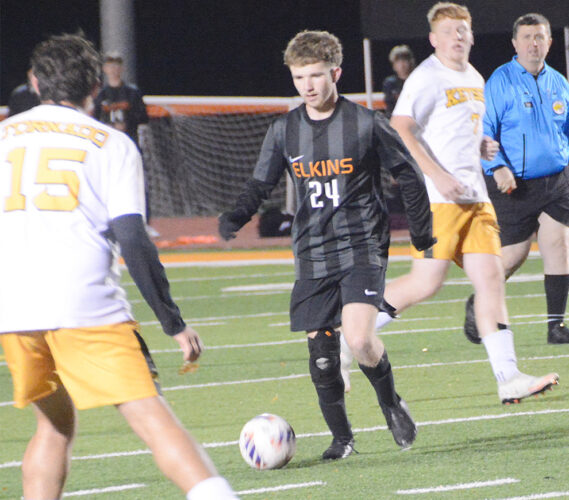 Despite regional loss, Tigers had a banner year