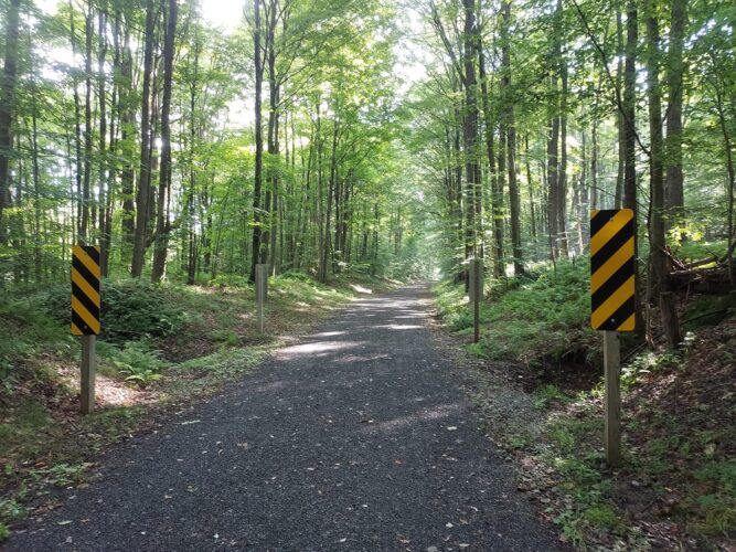 DCNR highlights Trail of the Year in McKean County | News, Sports, Jobs - Vimarsana News