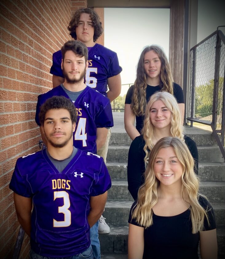 McLouth looks to 'Conquer the Vikings' Friday at MHS homecoming | News, Sports, Jobs - Vimarsana News