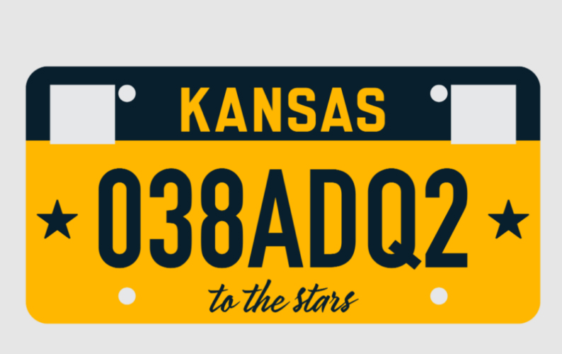 License plate design disgust prompts state to revamp, put to vote | News, Sports, Jobs - Vimarsana News