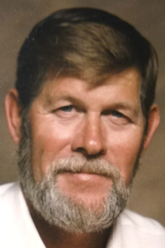 David A. Payne 19382017 News, Sports, Jobs Tribune Chronicle