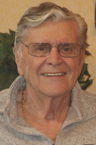 Dr. Daniel O. Reitz Jr. 1932-2021 | News, Sports, Jobs - Vimarsana News