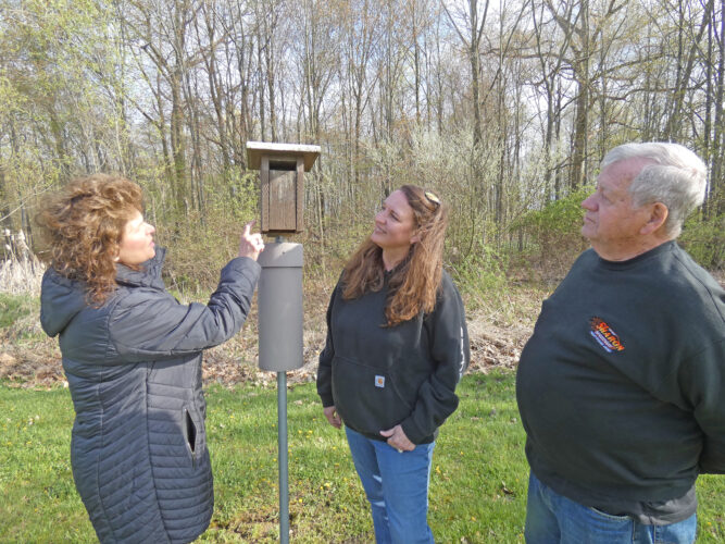 Mosquito Lake hosts weekend of bird activities | News, Sports, Jobs - Vimarsana News