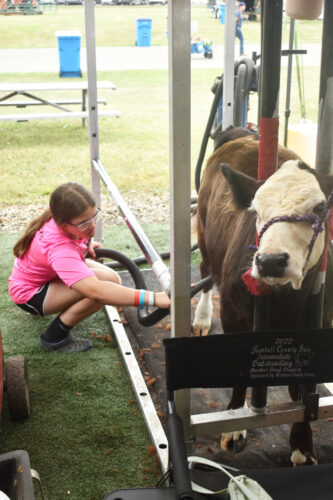 4-H members ready to go | News, Sports, Jobs - Tribune Chronicle - Vimarsana News