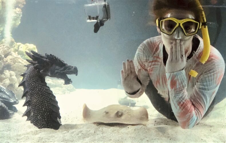 Charlotte, a stingray with no male companion, is pregnant in her mountain aquarium