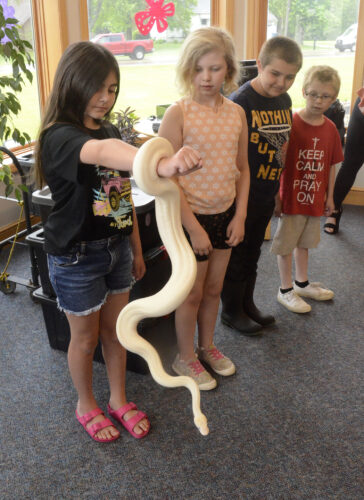 A wild time at the Liberty Library