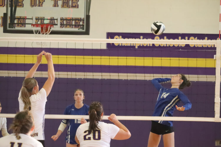 Bulldogs fall to Golden Flashes