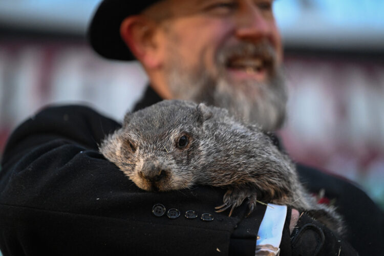 Punxsutawney Phil calls for more winter; Buckeye Chuck disagrees