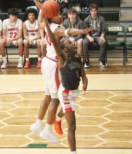 Chaney wrangles Hawken, advances to regional championship