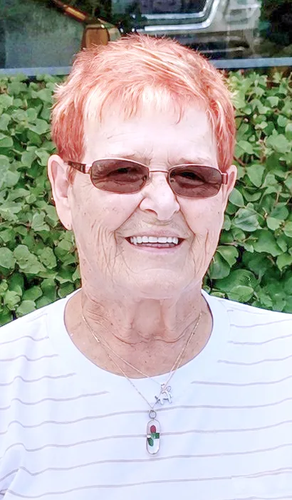 Alice L. Flickinger 1946-2026 Alice L. Flickinger 1946-2026