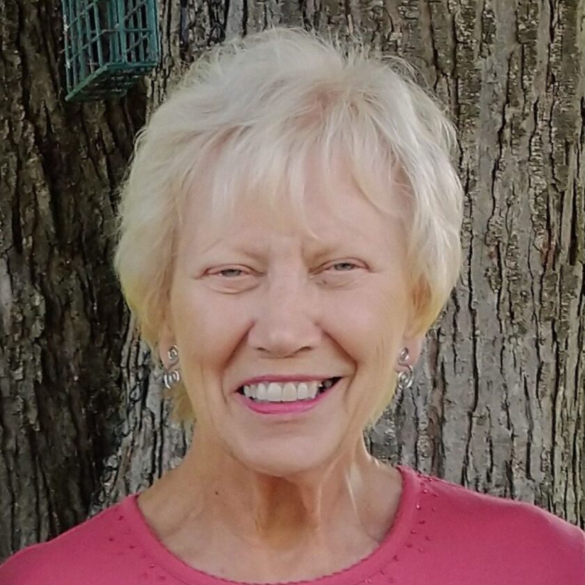 Patricia Sue Gilger | News, Sports, Jobs - Wetzel Chronicle - Vimarsana News