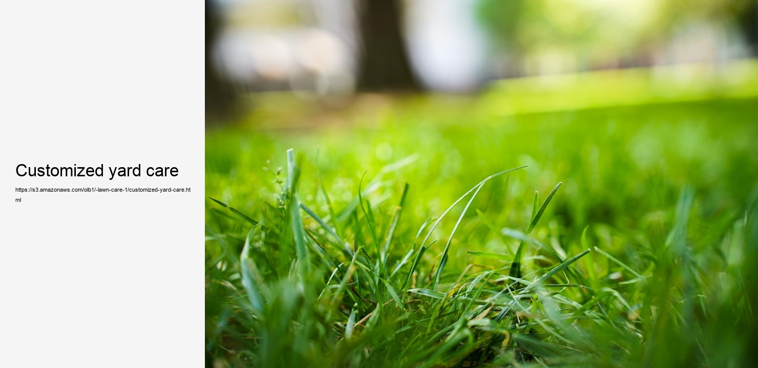 customized yard care  