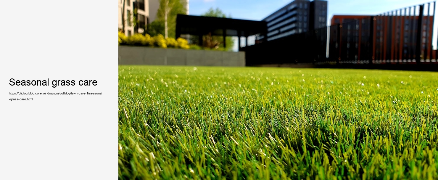 seasonal grass care  