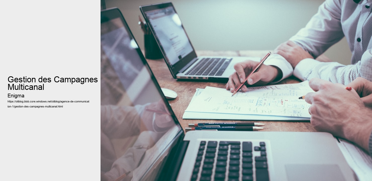 Gestion des Campagnes Multicanal