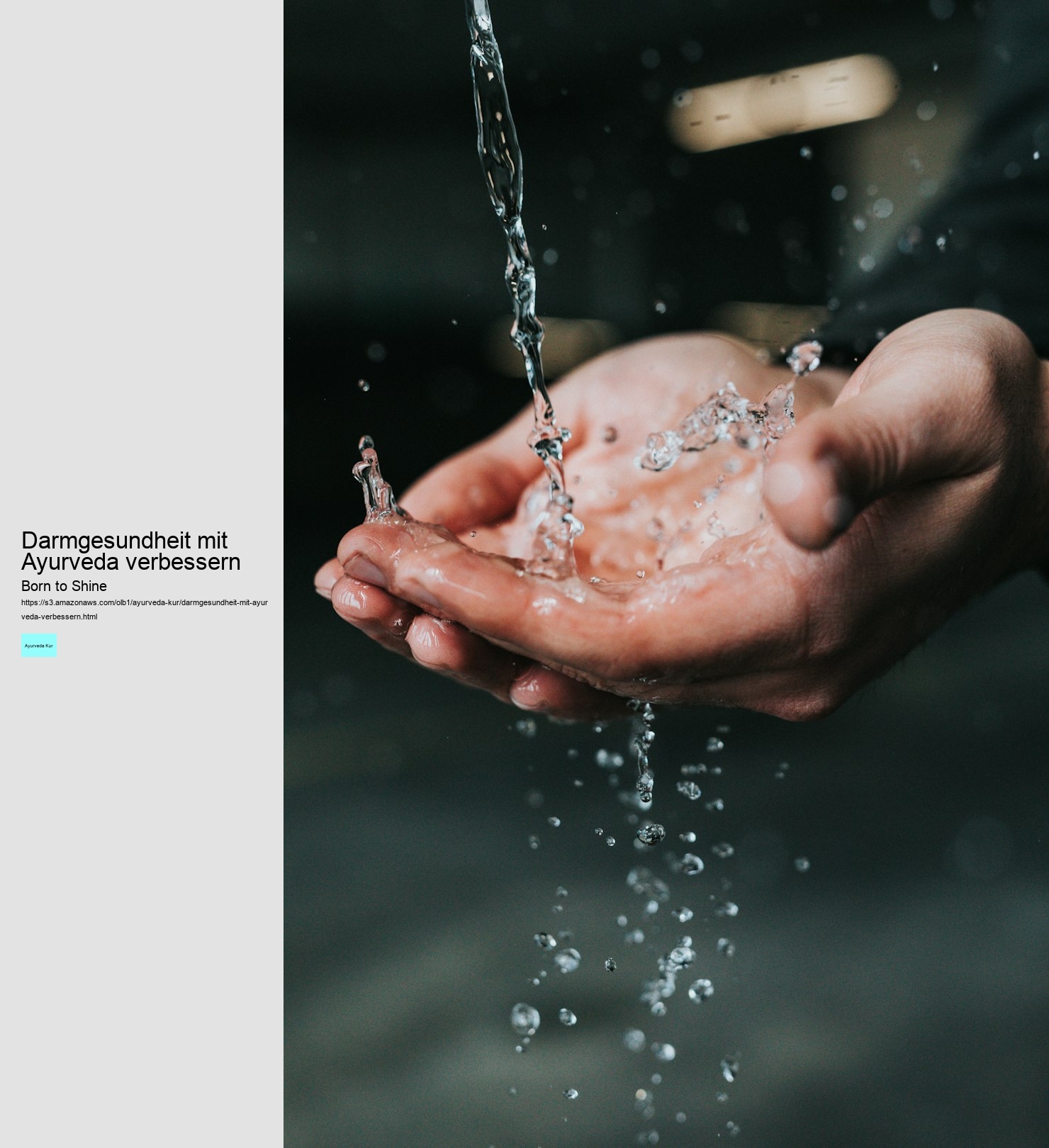 Darmgesundheit mit Ayurveda verbessern Born to Shine Darmgesundheit mit Ayurveda verbessern