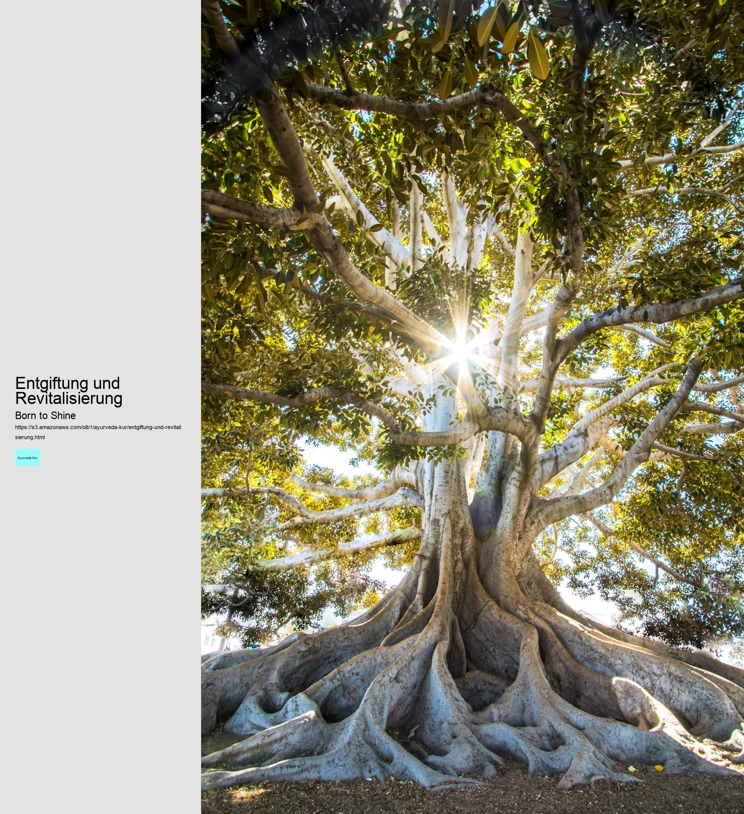 Entgiftung und Revitalisierung Born to Shine Entgiftung und Revitalisierung