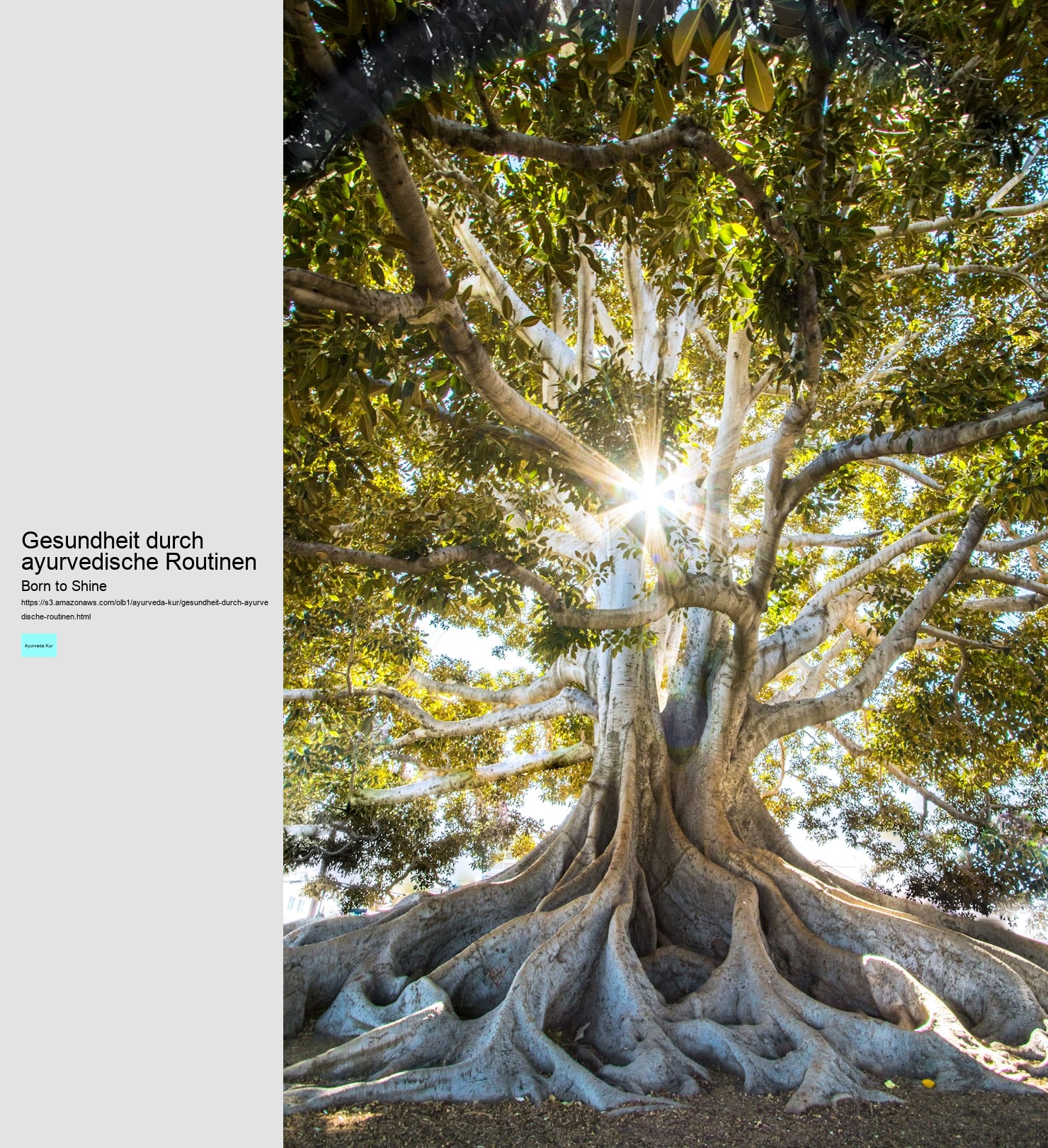 Gesundheit durch ayurvedische Routinen