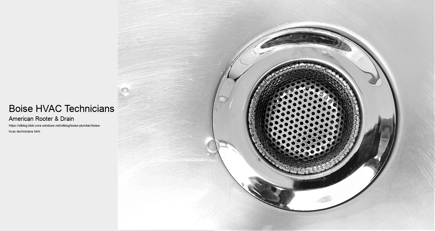 Boise HVAC Technicians