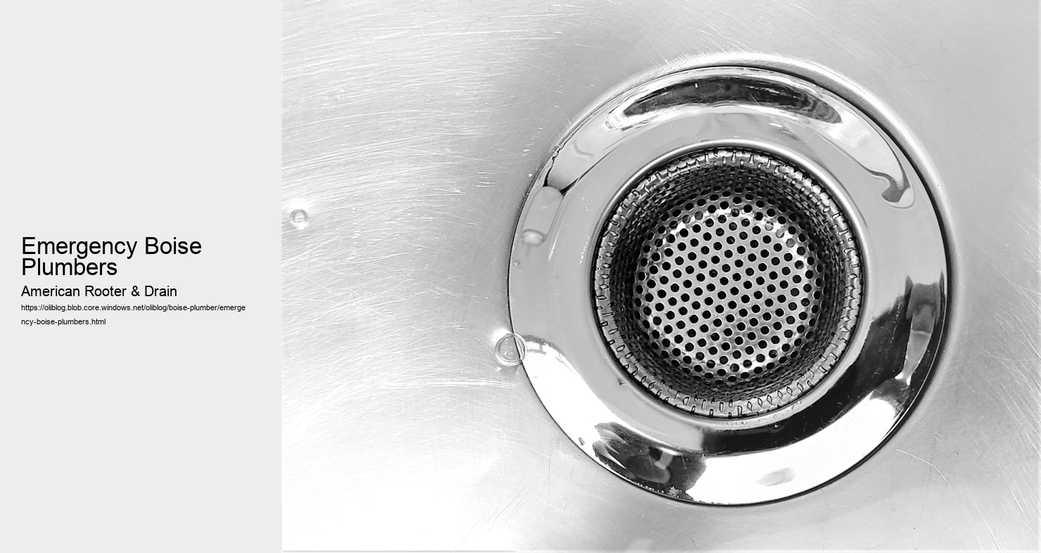 Emergency Boise Plumbers