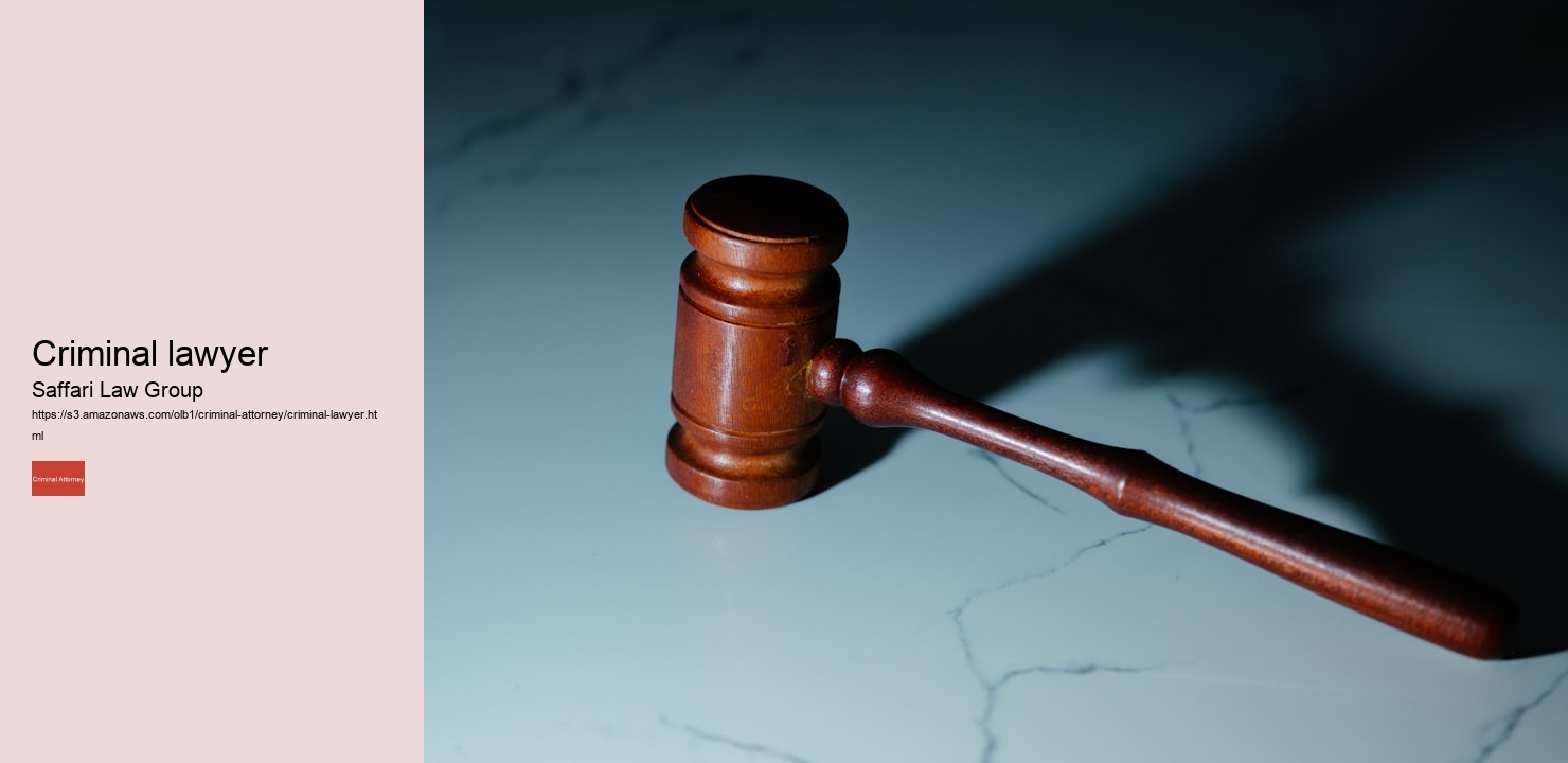 criminal lawyer