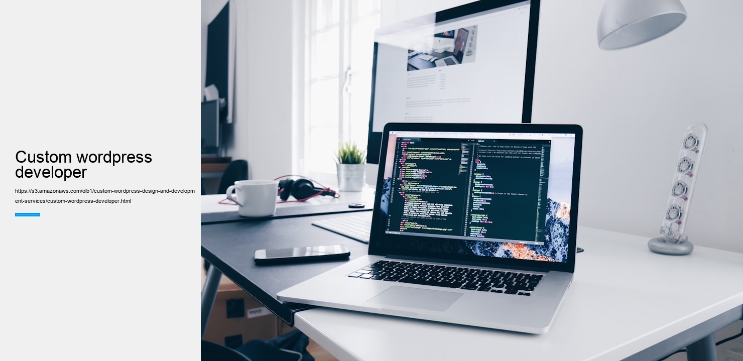custom wordpress developer
