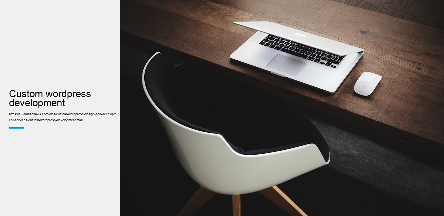 custom wordpress development